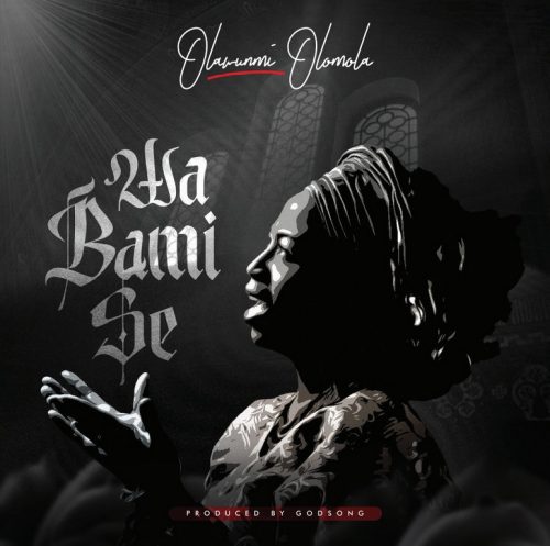 Wa Bami Se by Olawunmi Olomola