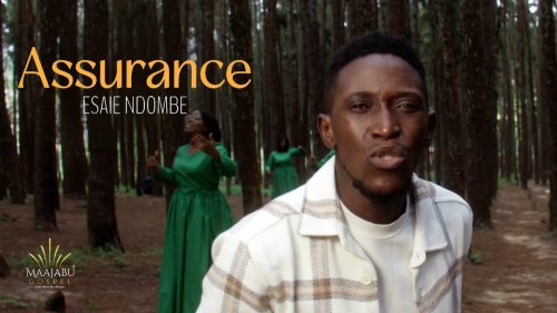 Esaie Ndombe – Assurance
