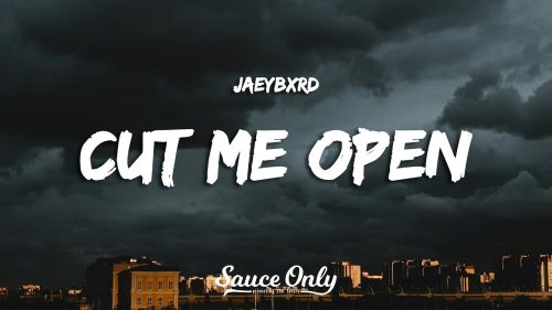 JaeyBxrd – Cut Me Open