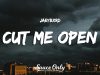 JaeyBxrd – Cut Me Open