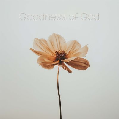 Anthem Worship – Goodness Of God Ft. Genavieve Linkowski & Mass Anthem